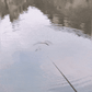 🎣High Sensitivity Nagy érzékenységű intelligens automatikus horgászati úszó🐟