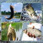 🎣Eltávolító szerszám fém horgászhorgokhoz, átlátszó csővel a tároláshoz