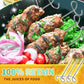 🔥10db Air Fryer Stand-Up nyársak🍢